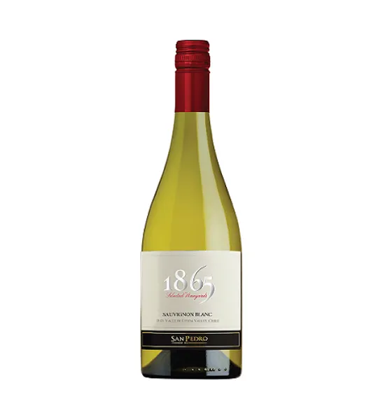 1865 reserve sauvignon blanc at Drinks Vine