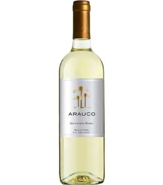 Arauco Sauvignon Blanc product image from Drinks Vine