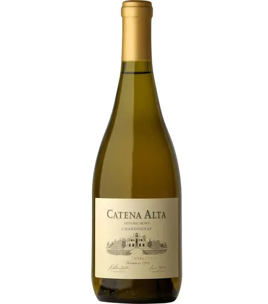 Catena alta chardonnay product image from Drinks Vine