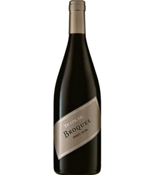 Trapiche Broquel Pinor Noir at Drinks Vine