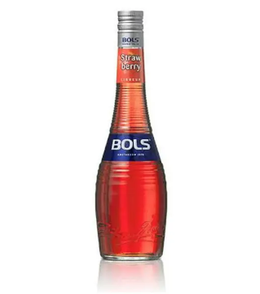 bols cherry brandy liqueur product image from Drinks Vine