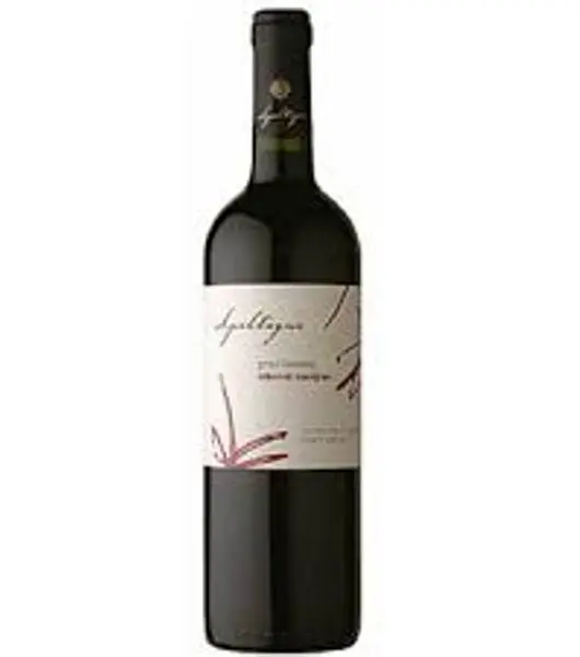 gran verano cabernet sauvignon product image from Drinks Vine
