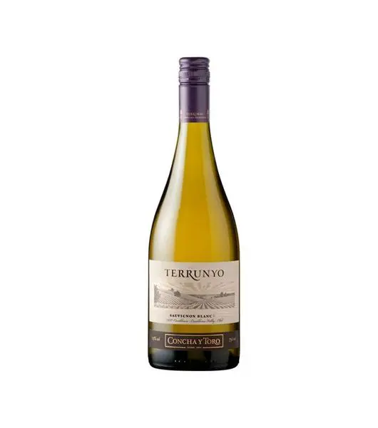 terrunyo sauvignon blanc product image from Drinks Vine