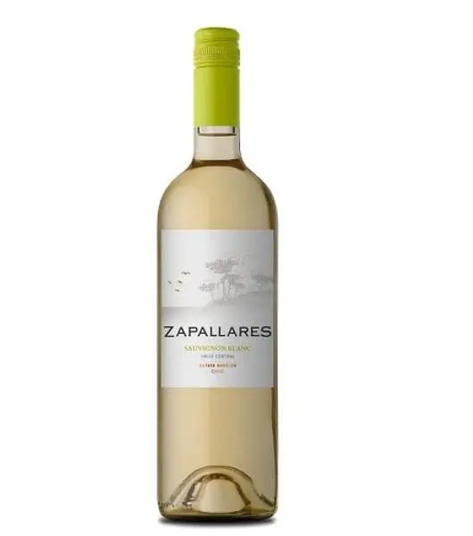 zapallares sauvignon blanc product image from Drinks Vine