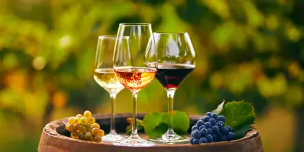 Wines - Explore all Wines